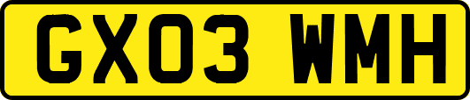 GX03WMH