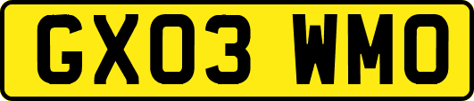 GX03WMO
