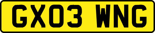 GX03WNG