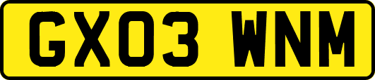 GX03WNM