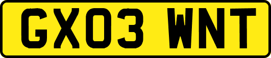 GX03WNT