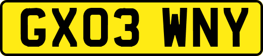 GX03WNY
