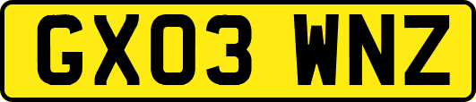 GX03WNZ