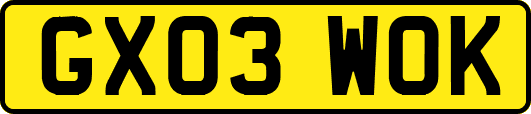GX03WOK