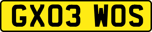GX03WOS