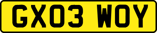 GX03WOY