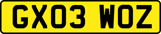 GX03WOZ