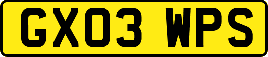 GX03WPS