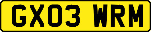 GX03WRM