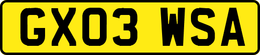 GX03WSA