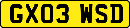 GX03WSD