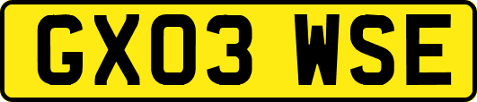 GX03WSE
