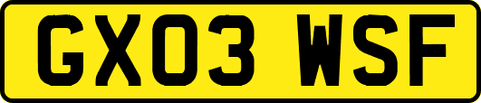 GX03WSF