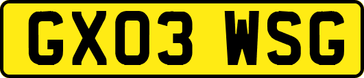 GX03WSG