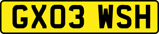 GX03WSH