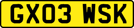 GX03WSK