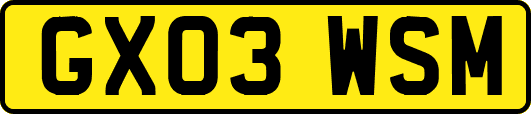 GX03WSM
