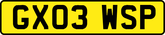 GX03WSP
