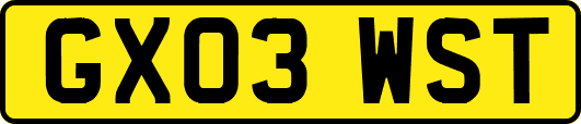 GX03WST
