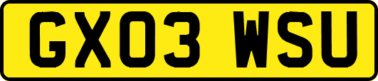 GX03WSU