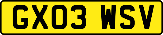 GX03WSV