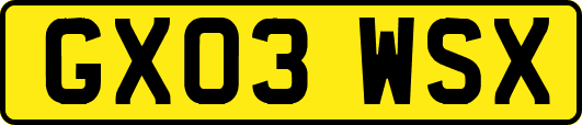 GX03WSX