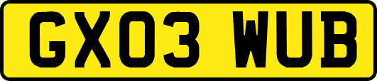 GX03WUB