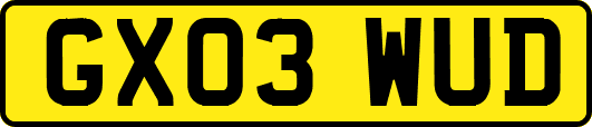 GX03WUD