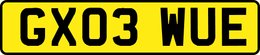 GX03WUE