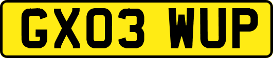 GX03WUP