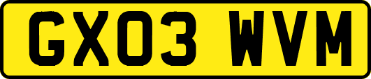 GX03WVM