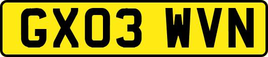 GX03WVN