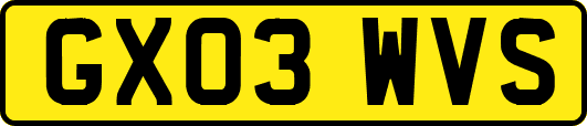 GX03WVS