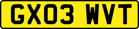GX03WVT