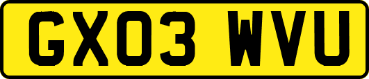 GX03WVU