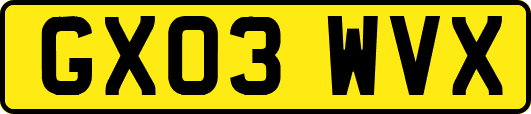 GX03WVX