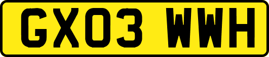 GX03WWH