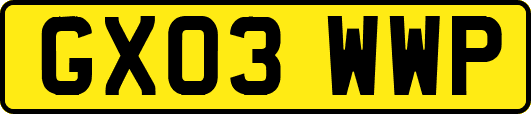 GX03WWP