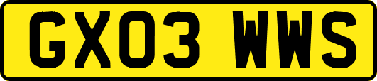 GX03WWS