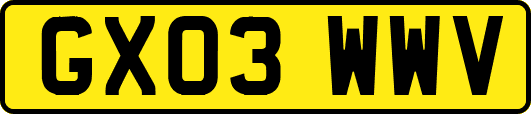 GX03WWV