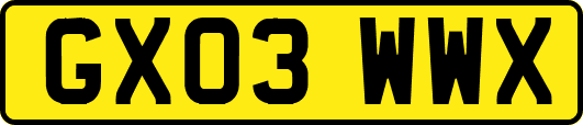 GX03WWX