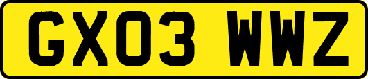 GX03WWZ