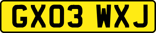 GX03WXJ