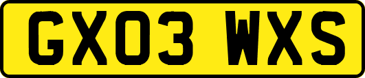 GX03WXS