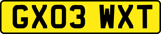 GX03WXT