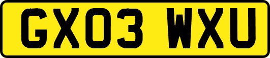 GX03WXU