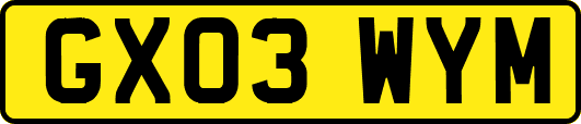 GX03WYM