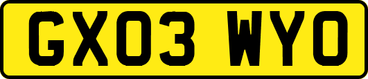 GX03WYO