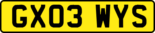 GX03WYS