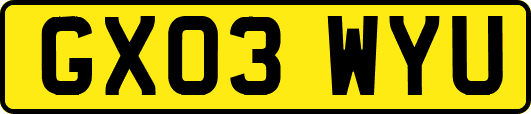 GX03WYU
